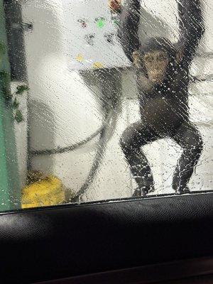 Trop Stop Gas & Car Wash