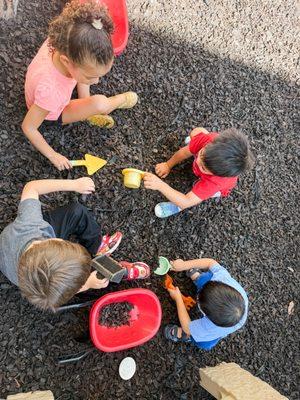 Global Lingual Academy