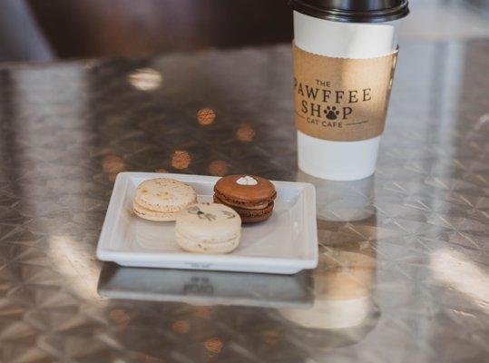 The Pawffee Shop Cat Cafe
