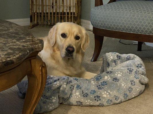 Beachwood Animal Clinic