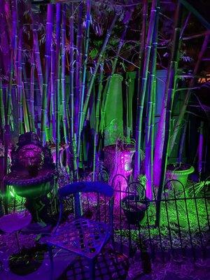 Little Miss Whiskey's Golden Dollar