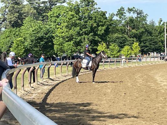 Saratoga Oklahoma Track