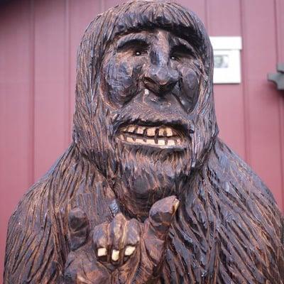 Sasquatch Mountain Hideaway