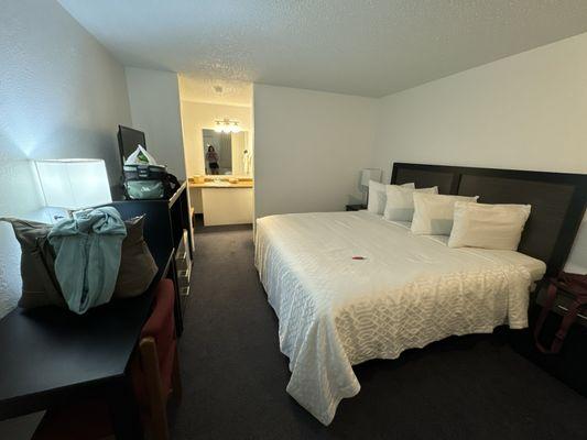 Room view when you walk in.