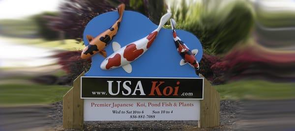 USA Koi