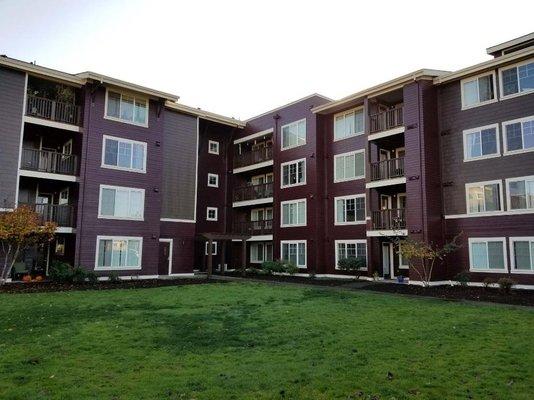 Kodiak Premium Painting