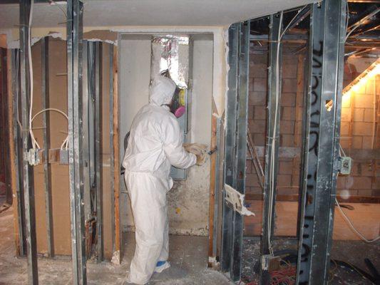 Mold Removal