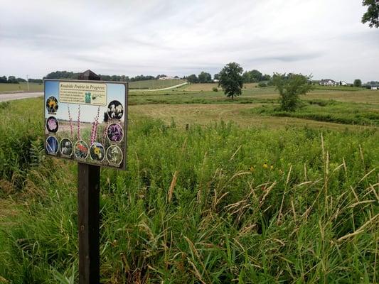 Abbe Creek School Museum