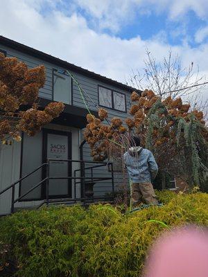 Rupert Light Cleaning Solutions