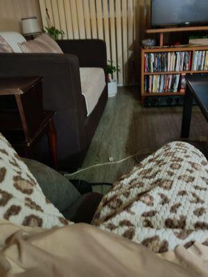 Over Grind Studio 909