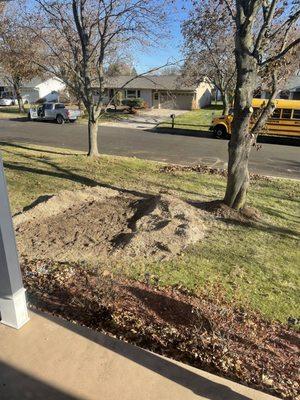 The Veteran Tree Stump Removal