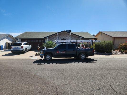 The Bee's Knees Pest Control