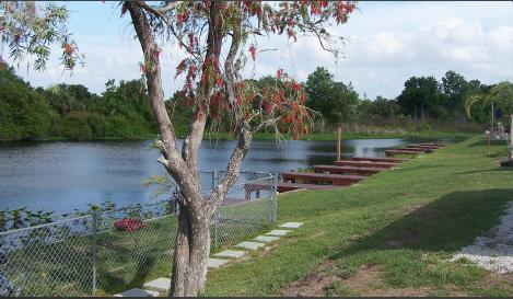 River Bluff RV and Fishing Resort