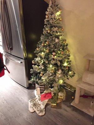 First & Sixth Apartments