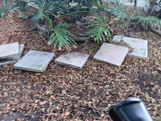 Whitfield Wonder Services