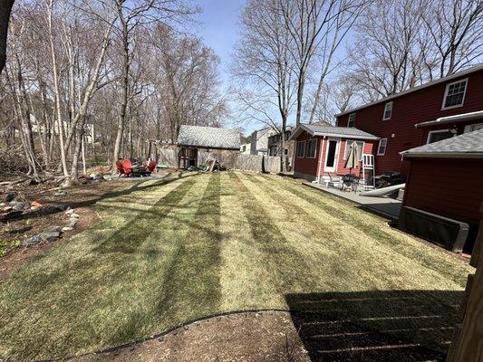 Pojoy Painting & Construction