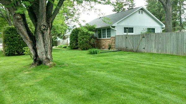 CN Lawn Care & Stump Grinding