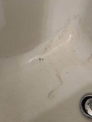 Kentucky Life Property Management