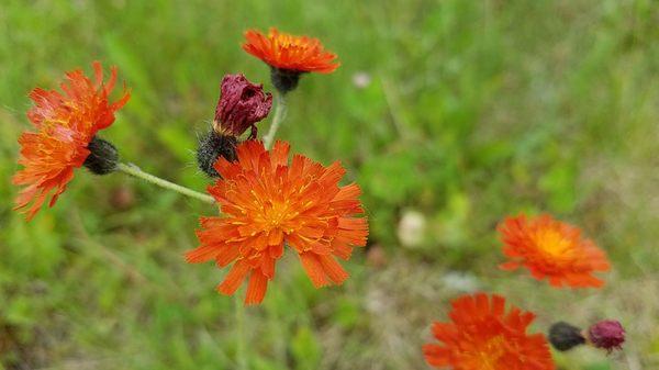 Morgans Landing State Recreation Site