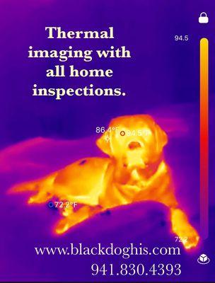 Blackdog Home Inspections
