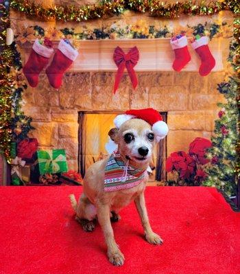 Congo! Oh she always does pics based on the season too. Congo was NOT happy