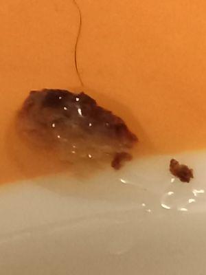 Patt Veterinary Hospital