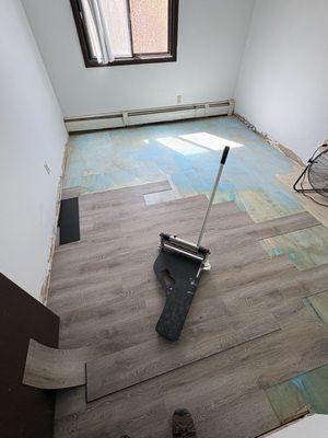 Collins Property Maintenance and Cleaning