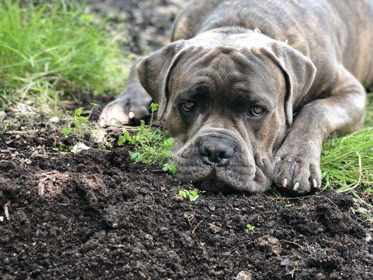 Prettyboy Veterinary Hospital