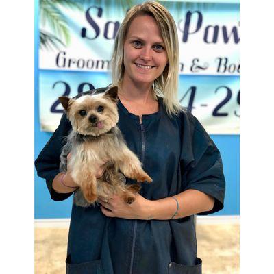 We groom senior dogs