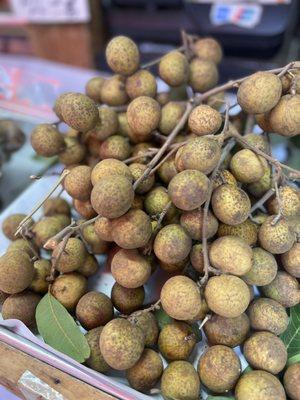 Longan