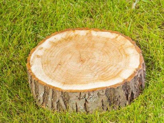 G Professional Tree Service