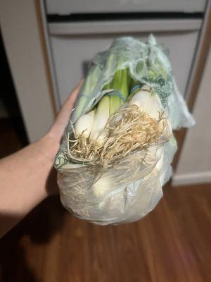 Ripped open bag, not replaced.