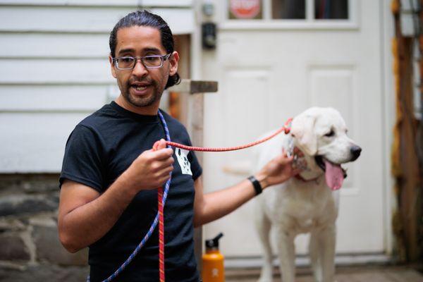 Cervantes Dog Training and Rehabilitation