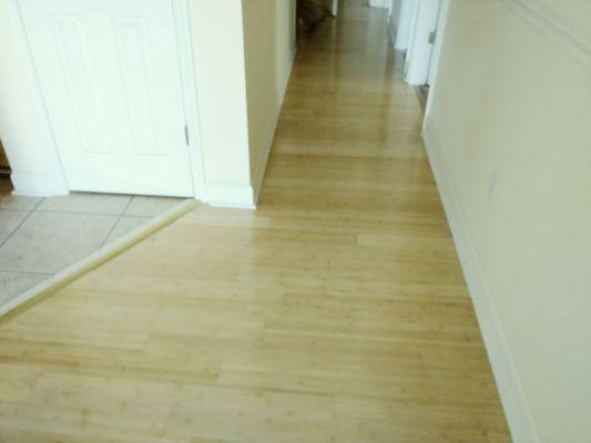 Tidy Tindal Cleaning Service