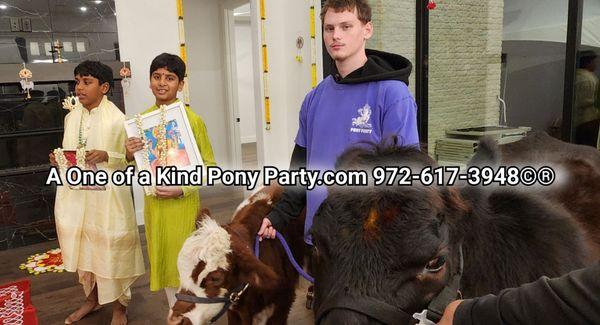 A One of a Kind Pony Party