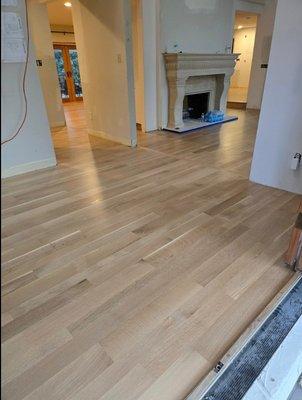 Prodigy Hardwood Floors