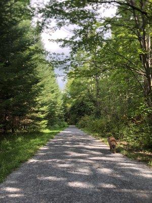 The start is well-groomed and flat--good for most people who are mobility challenged