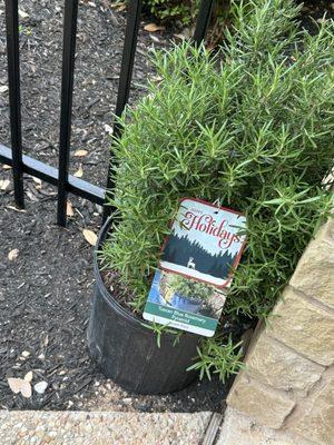 McIntire's Garden Center