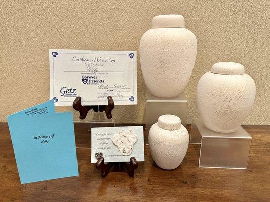 Forever Friends Pet Services