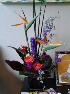 Womens Imaging and Intervention