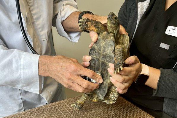 Leaf during his examination.