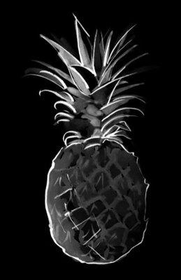 Pineapple Home Staging