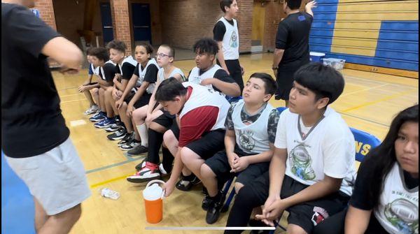 Da Vinci Tree Academy