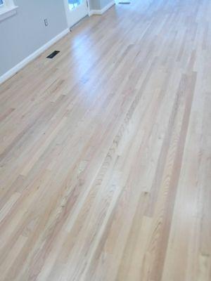 Hardwood Floor Doctor