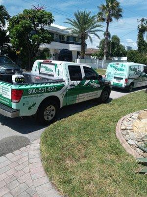 Pest Elite Environmental Services