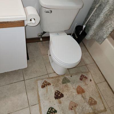 Rogers Plumbing And More