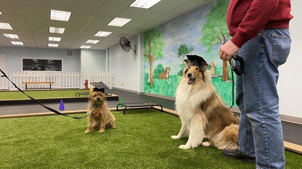 Pawsessions