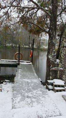 Snowin on da bayou.captain tony swamp tours in dec.2017 rarely seen in gibson la.