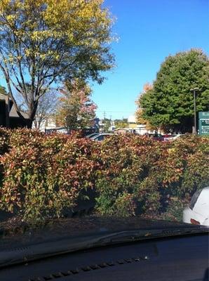 Pivot PT - Asheville, an Athletico company