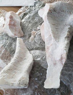 San Francisco Movers